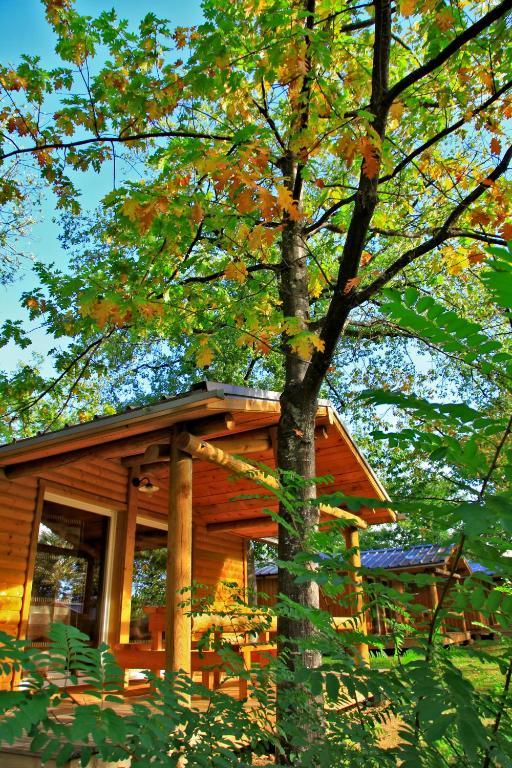 Albirondack Camping Lodge & Spa Room photo